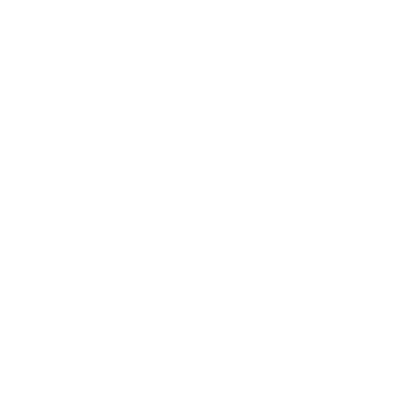 DINO